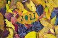 Creative colorful year 2022 fall concept with leaves.