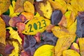 Creative colorful year 2023 fall concept with leaves.