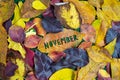 Creative colorful year November fall autumn concept with leaves. Flat lay.