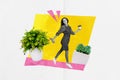 Creative composite photo illustration collage of beautiful housewife water plants make comfort at house isolated on