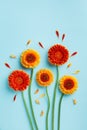 Creative composition of beautiful yellow and orange gerbera flowers with petals on blue background. Autumn concept. Greeting card