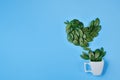 Creative composition. Coffee cup with bird made of natural green leaves on blue background. Flat lay, top view, copy space.