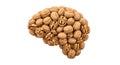 Walnuts Arranged in Brain Shape on White Background Royalty Free Stock Photo