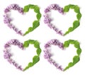 Creative composition - four hearts produced from freshly cut lilac flowers on a white background in the shape of a square, flat