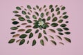 Creative composition in Green little leaves and flower represented over pink background separately.