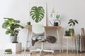 Creative composition of home workspace interior design with mock up poster frame, table, plants in hipster designed pots.