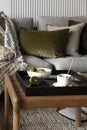 Creative composition of living room interior with wooden coffee table, bowl of kiwi, cup, simple black tray, gray sofa with