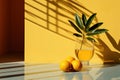 Creative Composition: Playful Orange Fruit Shadow - Generative AI