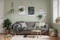 Creative composition of stylish and cozy room interior design with green wall with poster, toys, bright carpet, bottle green sofa