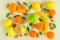 Creative composition of a variety of fruits. Juicy fresh citrus, Apple, banana, persimmon, nuts and green leaves on a light Royalty Free Stock Photo