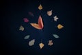creative concept clock from autumn leaves on black background