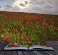 Creative concept image of poppy field Royalty Free Stock Photo