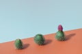 Creative concept made with pastel green cactus against pastel blue, brown background. Minimal nature concept