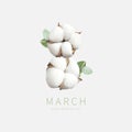 Creative concept for March 8 from cotton. International Women`s Day. Number eight from cotton flowers, green twigs of