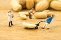 Creative concept with miniature people. Workers chopping nuts.