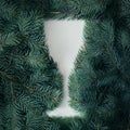 Creative concept for the new year. Silhouette of a Christmas champagne glass made of Christmas tree branches