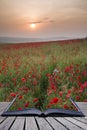 Creative concept pages of book Poppy field landscape in Summer c Royalty Free Stock Photo