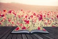 Creative concept pages of book Stunning poppy field landscape un Royalty Free Stock Photo