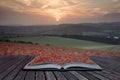Creative concept pages of book Stunning poppy field landscape un Royalty Free Stock Photo