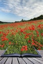 Creative concept pages of book Stunning poppy field landscape un Royalty Free Stock Photo