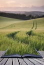 Creative concept pages of book Summer landscape image of wheat f