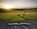 Creative concept pages of book Summer landscape image of wheat f