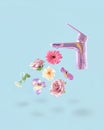 Creative concept of pastel purple faucet from which fresh pink flowers drip. Pastel blue background