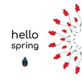 Creative concept with the phrase Hello spring.red flowers on a white background, lettering and a cute spring bug. Hand-drawn Royalty Free Stock Photo
