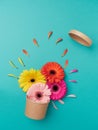 Creative concept: spring bursts with an explosion of colors and flowers. Orange, yellow and fuchsia gerbera flowers and petals