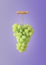 The creative concept of winemaking. A bunch of grapes with a wine corkscrew on a purple background