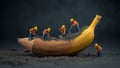 Creative Concept: Workers Excavating a Banana Royalty Free Stock Photo