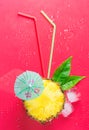 Flat Lay Ripe Juicy Cut in Half Pineapple Green Leaves Drinking Straws Melting Ice Cubes Umbrella on Pink Fresh Juices Royalty Free Stock Photo