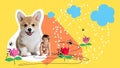 Creative contemporary art collage. Cute smiling boy, toddler in diaper crawling with small corgi puppy over yellow