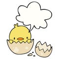 A creative cute cartoon chick hatching from egg and speech bubble Royalty Free Stock Photo