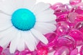 Creative Daisy on Pink Glass Stones