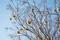 Creative decoration with Christmas toys, on a bare tree in the city Royalty Free Stock Photo