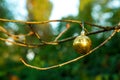 Creative decoration with Christmas toys, on a bare tree in the city Royalty Free Stock Photo