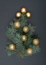 Creative decoration concept with Christmas tree branches and gold baubles