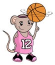 Funny small rat playing basket Royalty Free Stock Photo