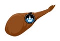 Iberian ham illustration Royalty Free Stock Photo