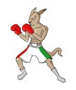 Mexican boxing kangaroo illustration