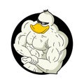 Muscle duck draw