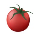 One tomatoe illustration