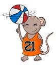 Rat playing basket Royalty Free Stock Photo