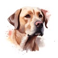 Creative and Detailed Cartoon Labrador in Watercolor Style,