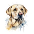 Creative and Detailed Cartoon Labrador in Watercolor Style,