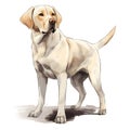 Creative and Detailed Cartoon Labrador in Watercolor Style,