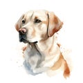 Creative and Detailed Cartoon Labrador in Watercolor Style,