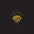 Creative Diamond Concept Logo Design Template