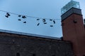 A creative display of colorful shoes hanging on a rope.